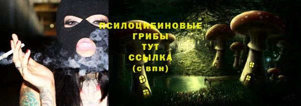 индика Абаза