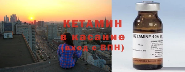 индика Абаза