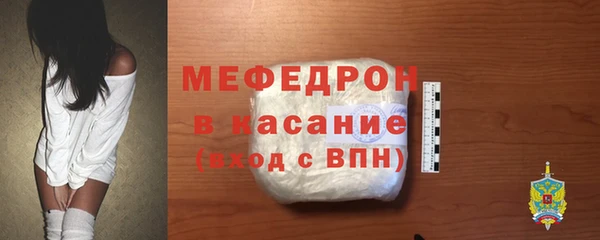 индика Абаза