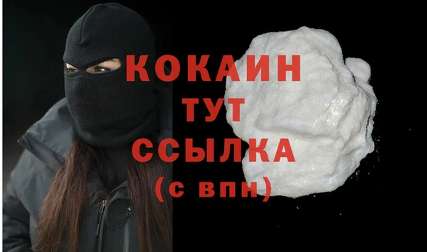 индика Абаза