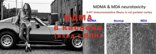 ПСИЛОЦИБИНОВЫЕ ГРИБЫ Абдулино