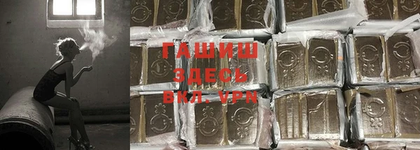 индика Абаза