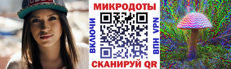 это как зайти  Подпорожье  Псилоцибиновые грибы мухоморы 